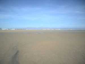 The wind's approach path over the kite surf lagoon at low tide. We need something like this adjacent to our lake